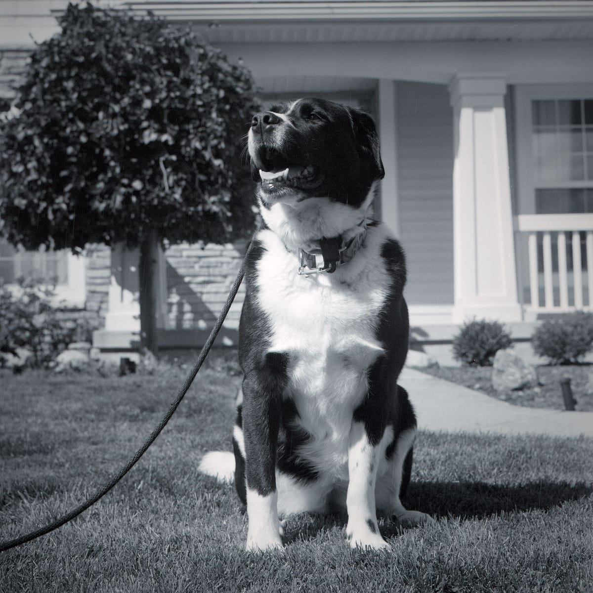 From Roll 2021-029 (Autocord/BW400CN)