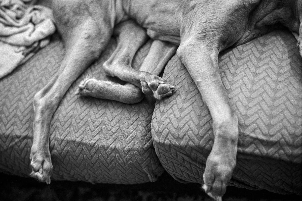 2026 Roll 002 (Leica M3)