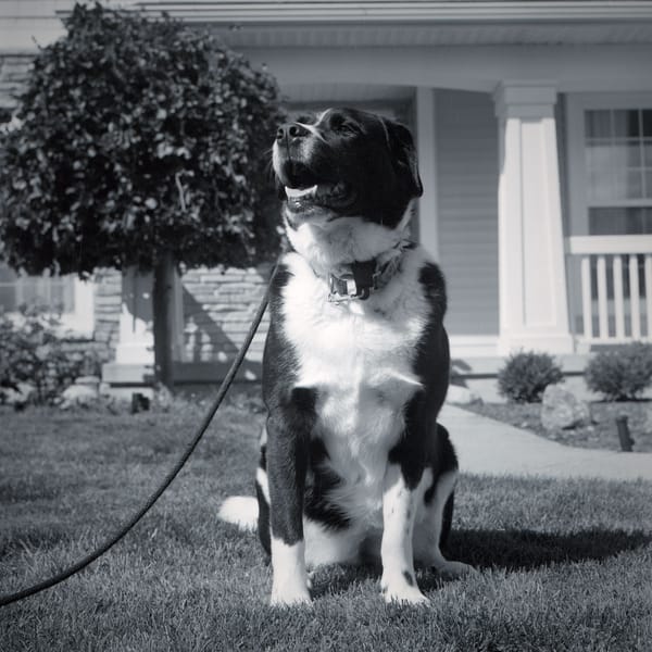 From Roll 2021-029 (Autocord/BW400CN)
